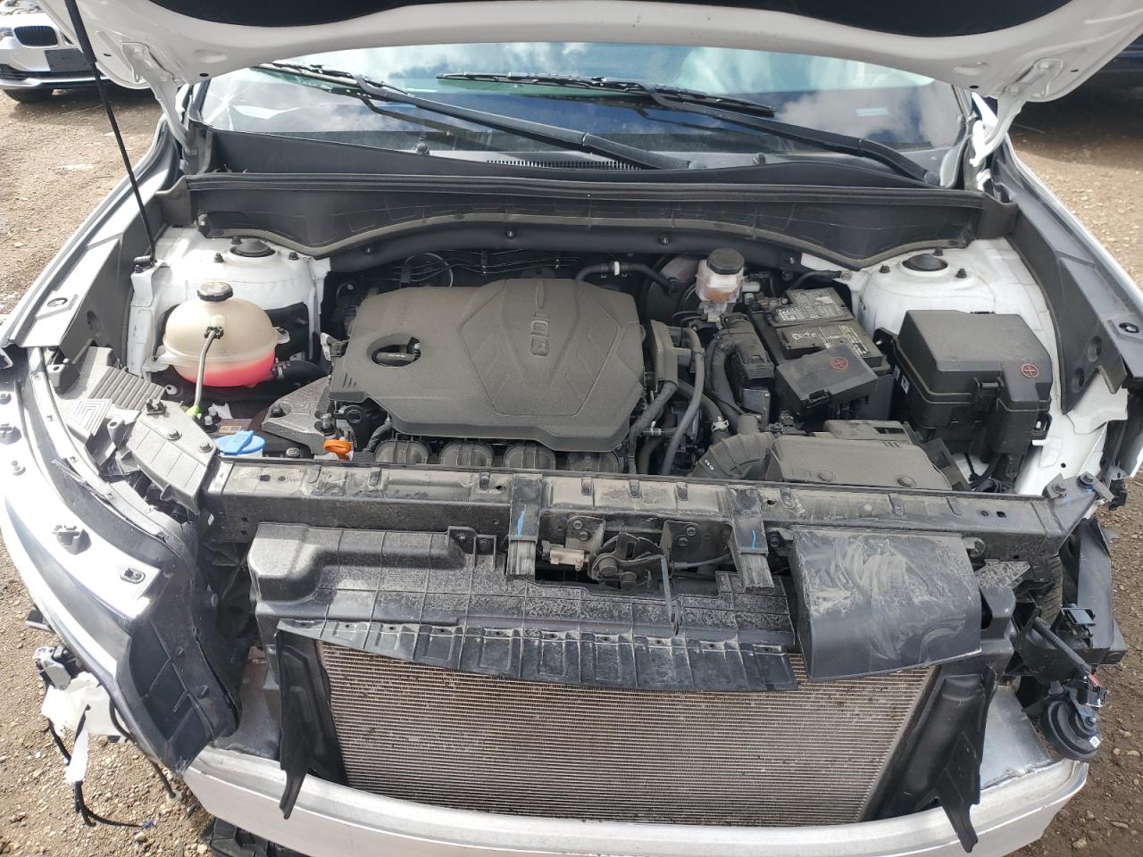 2022 Kia Sorento Lx VIN: 5XYRGDLC4NG097947 Lot: 55227485