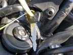 2019 Yamaha Mt07  for Sale in Littleton, CO - Front End
