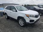 2011 Kia Sorento Base en Venta en Spartanburg, SC - Front End