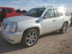 2011 Cadillac Escalade Premium за продажба в Andrews, TX - Hail