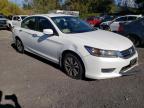 2015 Honda Accord Lx   for Sale in Kapolei, HI - Front End
