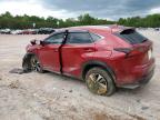 2020 Lexus Nx 300 for Sale in Charles City, VA - Front End