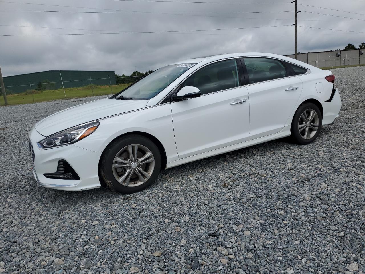 2018 Hyundai Sonata Sport for Sale in Tifton, GA - Rear End