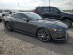2017 Ford Mustang Gt en Venta en Lawrenceburg, KY - Hail