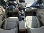 2016 Ford Escape Se for Sale in Houston, TX - Hail
