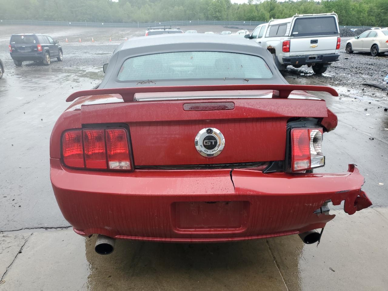 2008 Ford Mustang Gt VIN: 1ZVHT85HX85156503 Lot: 57903735