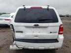2010 Ford Escape Hybrid for Sale in Elgin, IL - Rear End
