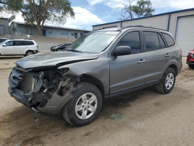 2009 Hyundai Santa Fe Gls