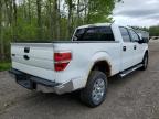 2010 Ford F150 Supercrew for Sale in Cookstown, ON - Rear End