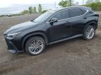 2023 LEXUS NX 350   for sale at Copart QC - MONTREAL