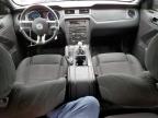 2014 Ford Mustang  for Sale in Louisville, KY - Front End