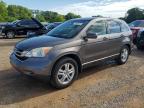 2010 Honda Cr-V Exl იყიდება Theodore-ში, AL - Rear End