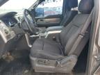 2013 Ford F150 Supercrew   на продаже в Sikeston, MO - Hail
