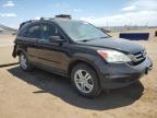 Brighton, CO에서 판매 중인 2010 Honda Cr-V Exl   - Rear End