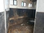 2003 Exiss Horse Trailer იყიდება Lexington-ში, KY - Side