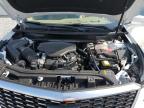 Riverview, FL에서 판매 중인 2024 Cadillac Xt5 Platinum Premium Luxury - Rear End