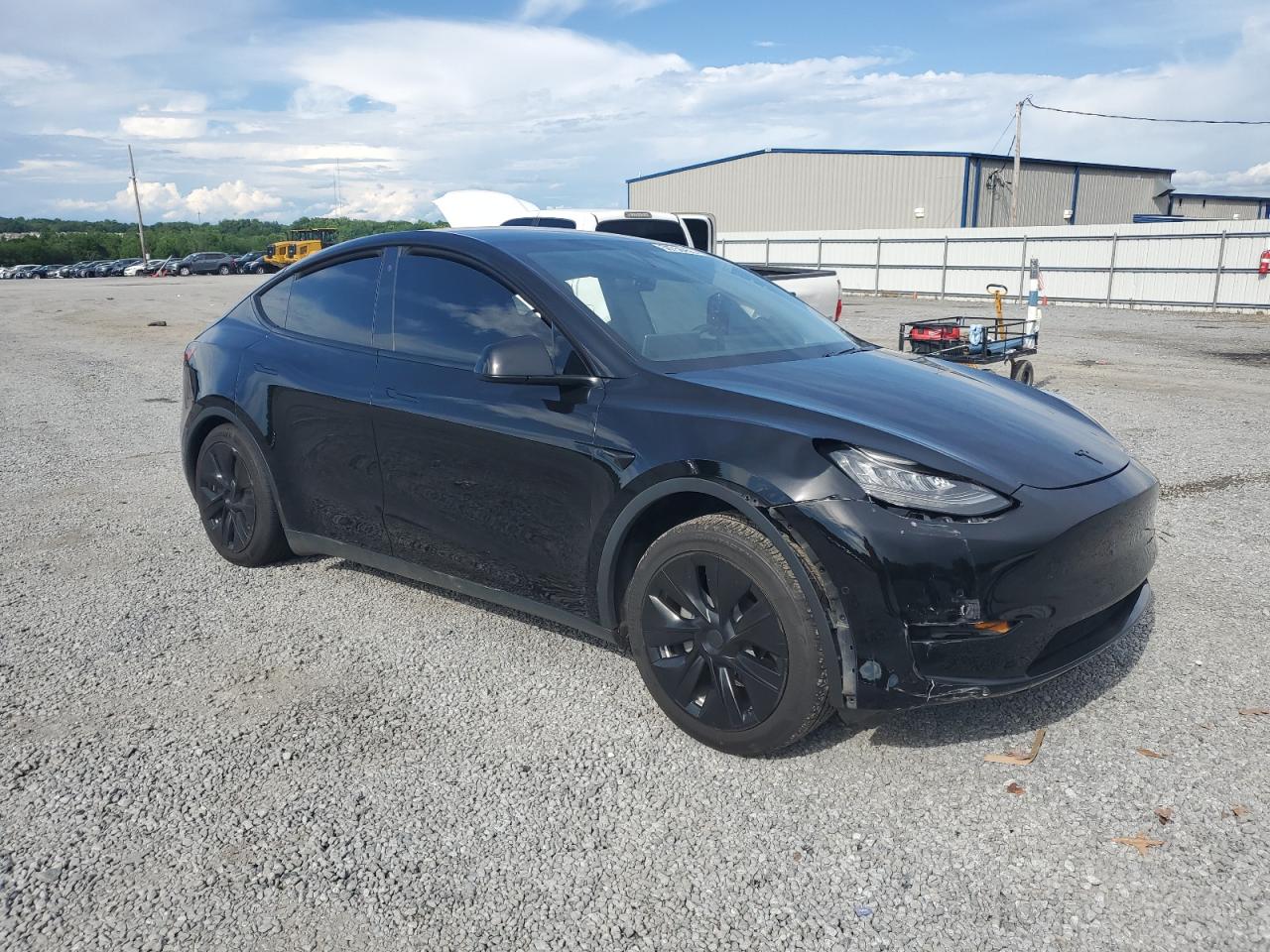 2020 Tesla Model Y VIN: 5YJYGDEE1LF035193 Lot: 56758455
