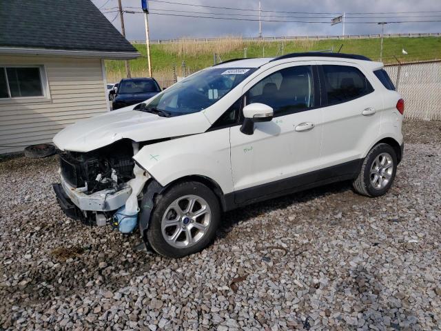  FORD ECOSPORT 2019 Biały