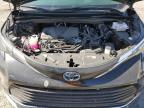 2024 Toyota Sienna Xle en Venta en Las Vegas, NV - Rear End