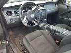 2014 Ford Mustang  for Sale in China Grove, NC - Rear End
