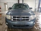 2010 Ford Escape Xlt იყიდება West Mifflin-ში, PA - Front End
