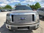 2010 Ford F150 Supercrew na sprzedaż w Madisonville, TN - Normal Wear