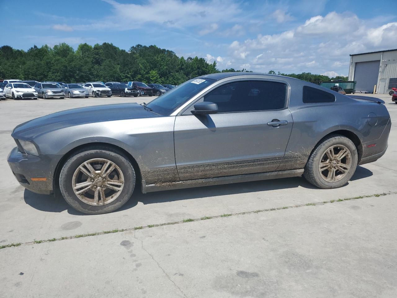 2011 Ford Mustang იყიდება Gaston-ში, SC - Rear End