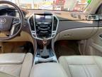 2013 Cadillac Srx Luxury Collection للبيع في Anthony، TX - Minor Dent/Scratches