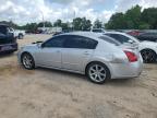 2007 Nissan Maxima Se zu verkaufen in Theodore, AL - Rear End