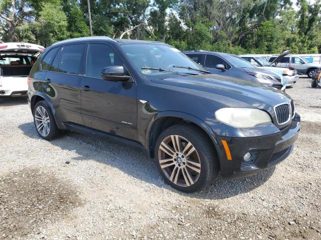 Parquets BMW X5 2012 Black