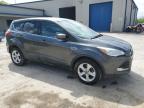 2015 Ford Escape Se for Sale in Ellwood City, PA - Hail