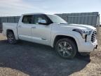 2023 TOYOTA TUNDRA CREWMAX CAPSTONE   à vendre chez Copart ON - TORONTO