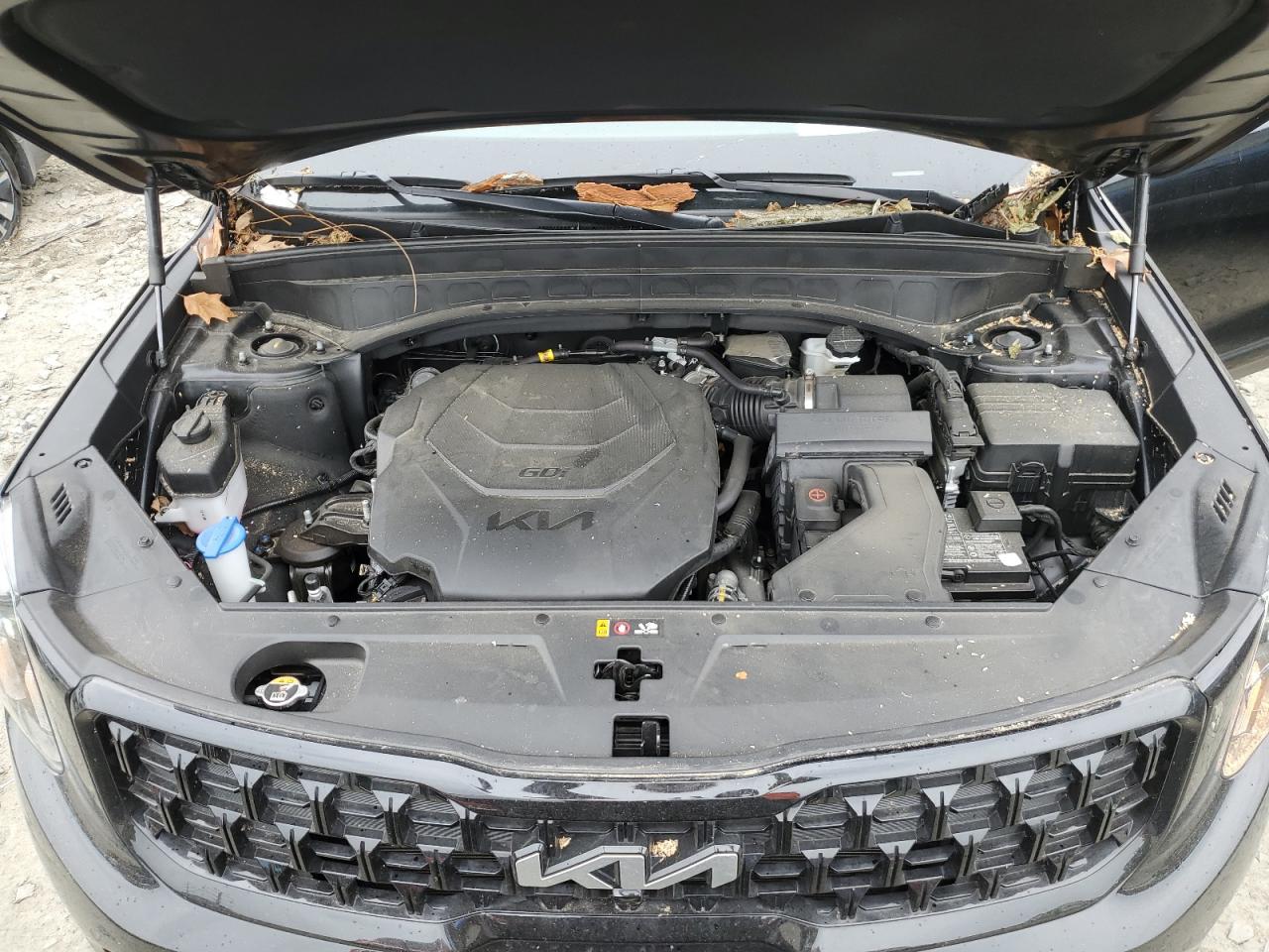 2024 Kia Telluride Sx VIN: 5XYP5DGC1RG494352 Lot: 58260515