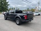 2017 Ford F150 Raptor for Sale in North Billerica, MA - Minor Dent/Scratches
