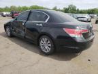 2011 Honda Accord Exl en Venta en New Britain, CT - Biohazard/Chemical