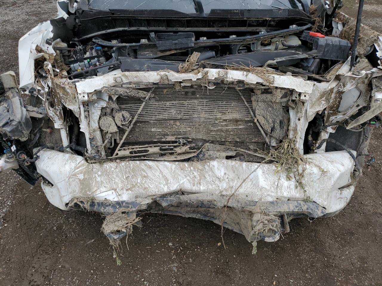 1GCUYBEFXLZ282442 CHEVROLET ALL Models 2020