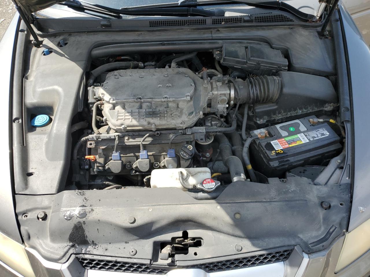 2008 Acura Tl VIN: 19UUA66278A003043 Lot: 57139905