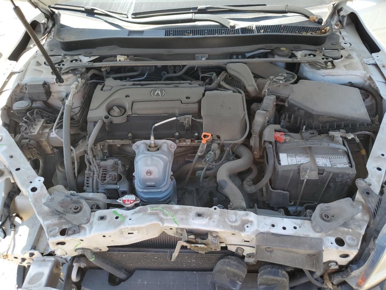 2010 Acura Tlx VIN: 19UUB1F30FA008347 Lot: 57060705