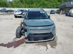 2023 Kia Niro Ex for Sale in Ellwood City, PA - Front End