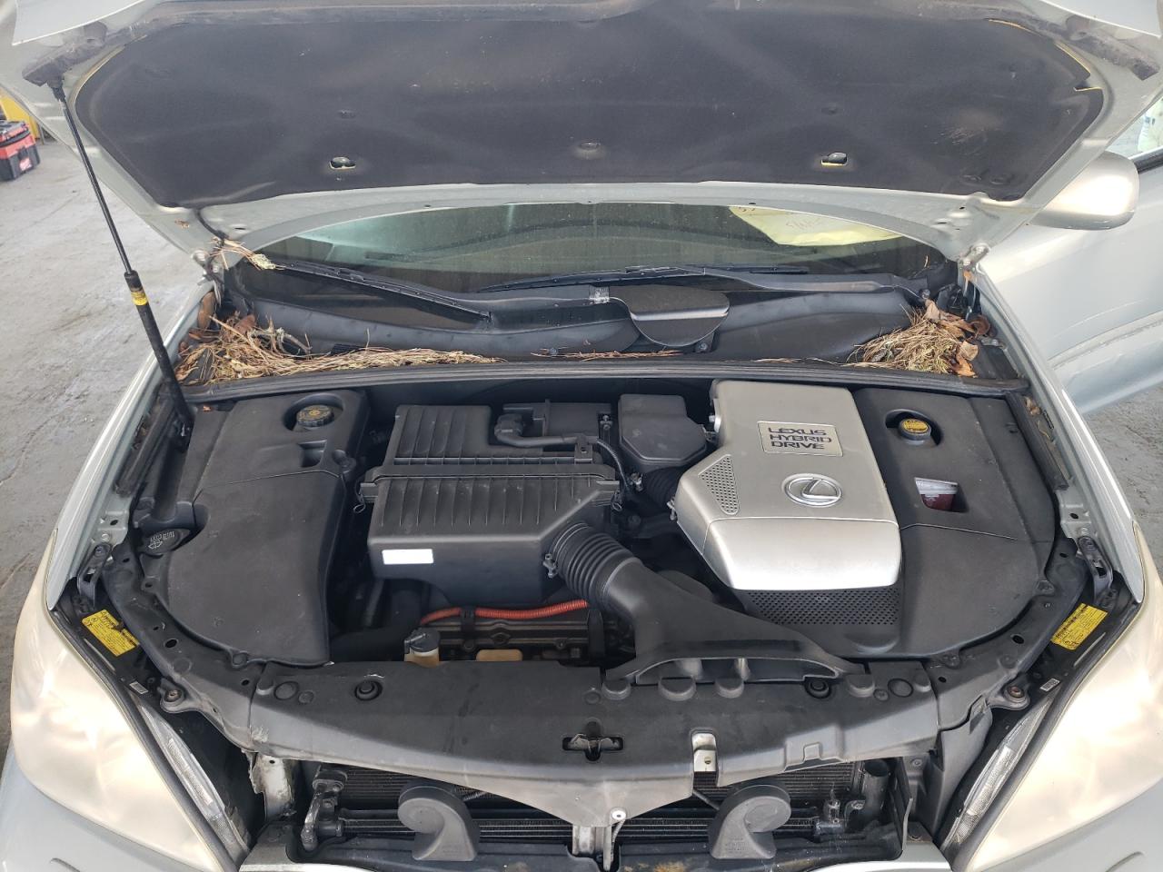 2008 Lexus Rx 400H VIN: JTJGW31U282007982 Lot: 55627195