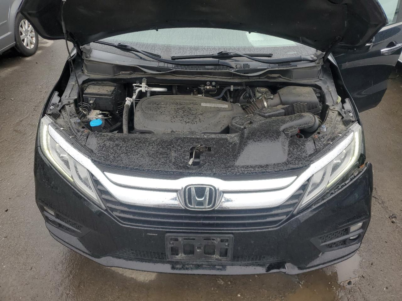 5FNRL6H75KB126006 HONDA All Models 2019