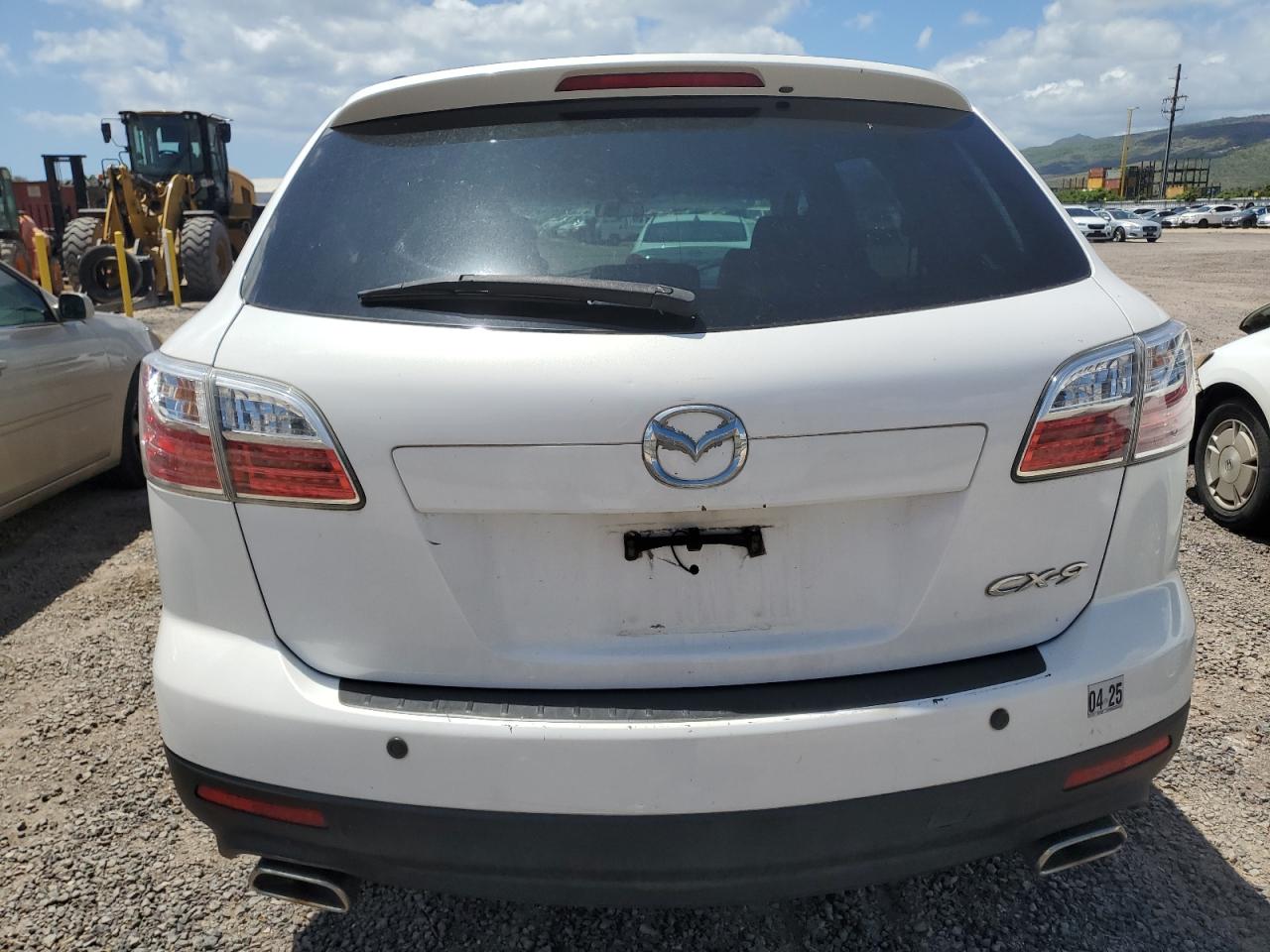 2010 Mazda Cx-9 VIN: JM3TB2MA2A0230265 Lot: 55886405