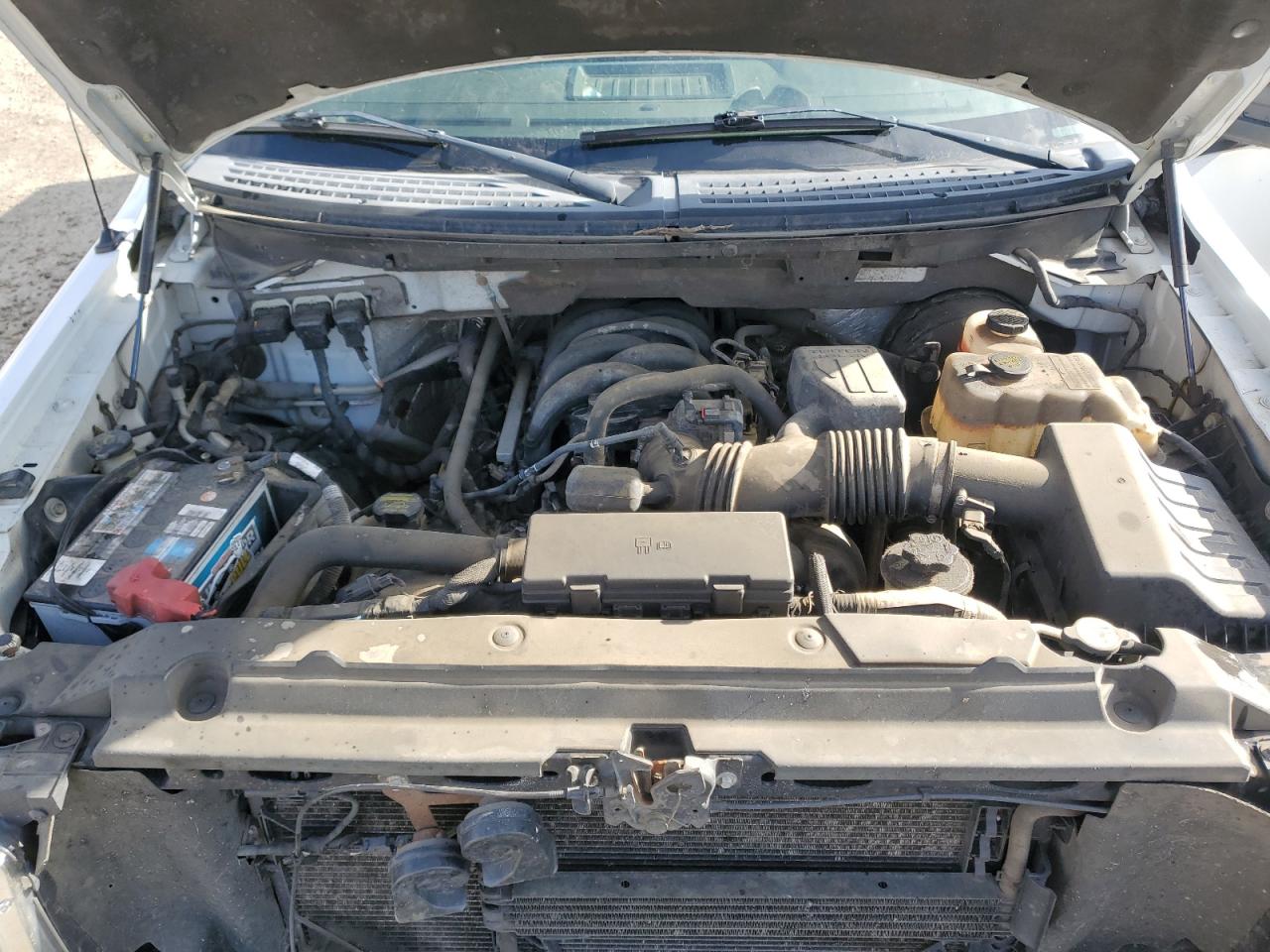 2009 Ford F150 VIN: 1FTPF14869KA71711 Lot: 57301945