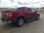 2014 Ford F150 Supercrew   იყიდება Earlington-ში, KY - Hail
