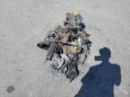 2023 Honda Grom A за продажба в Dunn, NC - Burn