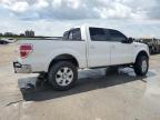 2012 Ford F150 Supercrew   en Venta en New Orleans, LA - Front End
