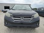 2014 Honda Cr-V Exl продається в Jacksonville, FL - Minor Dent/Scratches