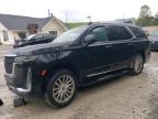 2021 Cadillac Escalade Premium Luxury en Venta en Northfield, OH - Rear End