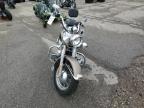 2004 Harley-Davidson Flstci  for Sale in Woodhaven, MI - Rear End
