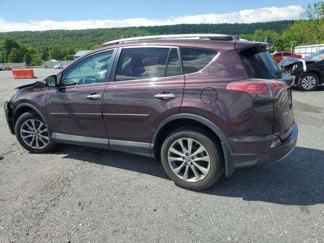 Паркетники TOYOTA RAV4 2017 Фиолетовый
